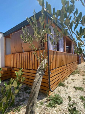 Mobile home DARA